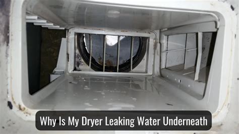 why is my dryer leaking water underneath|9 Reasons Your Dryer Is Leaking Water 